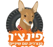 פינצ'ר – פנצ'ריה עם שיניים
